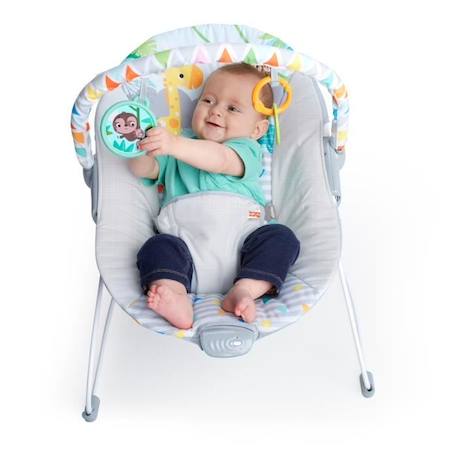 BRIGHT STARTS Transat bébé Safari, Vibrations apaisantes, Arche d'éveil avec jouets interactifs GRIS 6 - vertbaudet enfant 