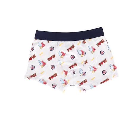 PAW PATROL - Lot De 5 Boxers Pat Patrouille - Garçon BLEU 4 - vertbaudet enfant 