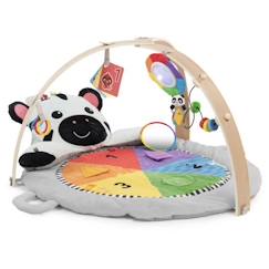 -BABY EINSTEIN Tapis d'éveil Ocean Explorers, avec arche de jeu en bois et jouets multisensoriels