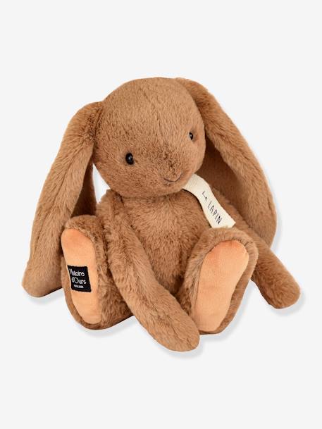 Peluche le lapin - HISTOIRE D'OURS noisette 1 - vertbaudet enfant 