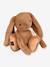 Peluche le lapin - HISTOIRE D'OURS noisette 1 - vertbaudet enfant 