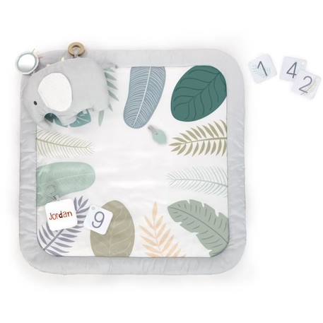 INGENUITY Tapis d'éveil tout confort Petit Eléphant, 12 cartes étapes mensuelles et tableau personnalisable, Coussin de support avec BLANC 1 - vertbaudet enfant 