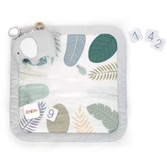 Jouet-Premier âge-Tapis d'éveil et portiques-INGENUITY Tapis d'éveil tout confort Petit Eléphant, 12 cartes étapes mensuelles et tableau personnalisable, Coussin de support avec