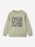 Sweat Basics motif graphique garçon blanc chiné+bleu moyen+vert sauge 10 - vertbaudet enfant 