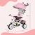 Tricycle Enfant HOMCOM évolutif Pare-Soleil Pliable Canne télescopique Amovible 95 x 50 x 106 cm Acier Rose ROSE 4 - vertbaudet enfant 