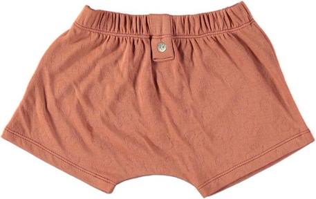 Garçon-Sous-vêtement-Slip, Boxer-Boxer enfant Nino