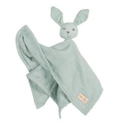 Jouet-Premier âge-Doudous et jouets en tissu-Doudou Lapin Bio Lil Planet - ROBA - 40 x 40 cm - Vert