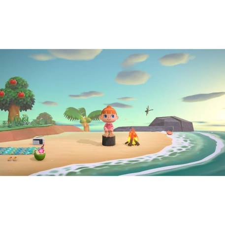 Animal Crossing: New Horizons • Jeu Nintendo Switch BLANC 2 - vertbaudet enfant 