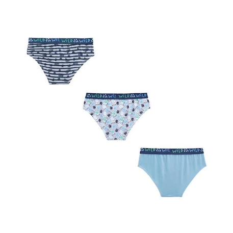 Garçon-Sous-vêtement-Slip, Boxer-Lot de 3 slips garçon Tiago