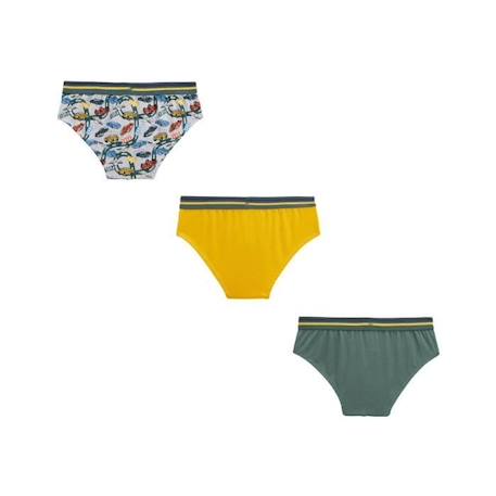 Lot de 3 slips garçon Tambolino  - vertbaudet enfant