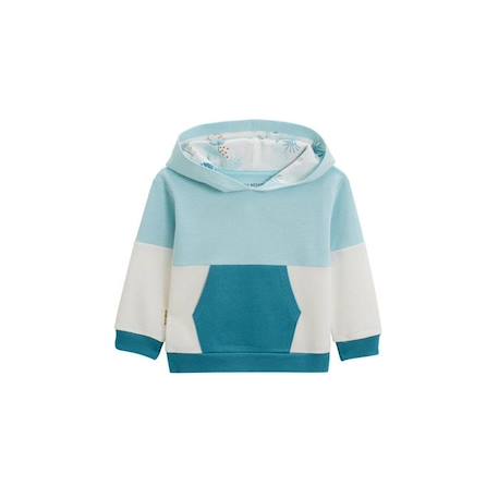 Garçon-Pull, gilet, sweat-Sweat-shirt à capuche enfant Manaus