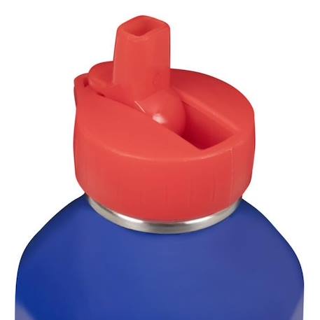 Gourde enfant Acier inoxydable - Facile à nettoyer - Gourde réutilisable - Contenance 300ml - 17cm x 6,5cm - Poisson dans l'eau BLEU 2 - vertbaudet enfant 