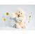 Peluche Ours Titours - Histoire d'Ours - Blanc 34 cm BLANC 3 - vertbaudet enfant 