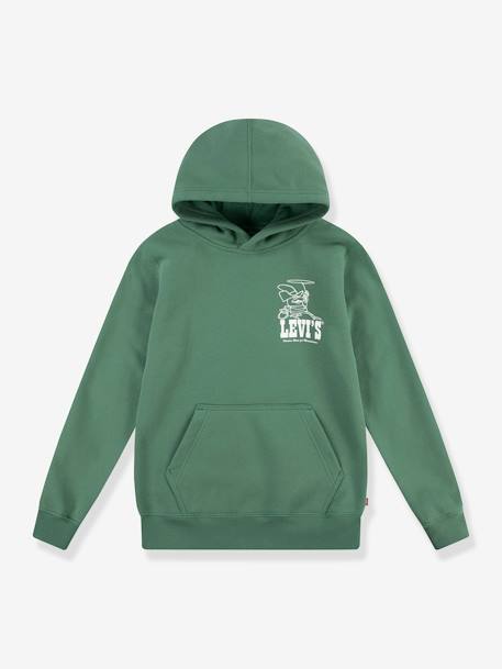 Sweat à capuche LVB Lasso it up Hoodie LEVI'S vert 1 - vertbaudet enfant 