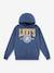 Sweat à capuche garçon LVB Sporty Hoodie LEVI'S bleu 1 - vertbaudet enfant 