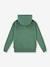 Sweat à capuche LVB Lasso it up Hoodie LEVI'S vert 2 - vertbaudet enfant 