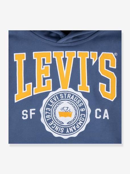 Sweat à capuche garçon LVB Sporty Hoodie LEVI'S bleu 3 - vertbaudet enfant 