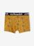 Lot de 5 boxers stretch garçon écru 5 - vertbaudet enfant 