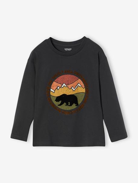 T-shirt motif nature détails flocage velours garçon anthracite+bleu ardoise+vert sauge 1 - vertbaudet enfant 