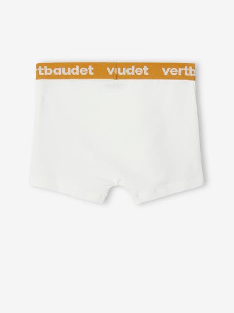 Lot de 5 boxers stretch garçon écru 7 - vertbaudet enfant 