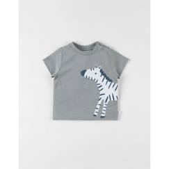 T-shirt zèbre à courtes manches eucalyptus  - vertbaudet enfant