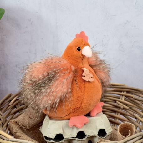 Jouet en peluche - HISTOIRE D'OURS - Les poulettes petit modele orange - Mixte - A partir de 0 mois ORANGE 3 - vertbaudet enfant 