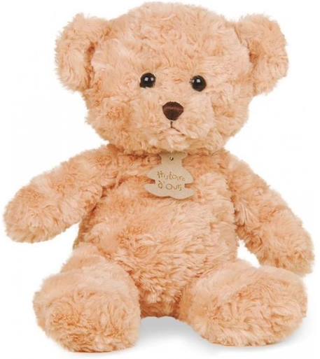 Peluche Ours Câlin Miel 21 cm - HISTOIRE D'OURS - Mixte - Enfant - Beige BEIGE 2 - vertbaudet enfant 