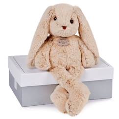 Jouet-Premier âge-Peluches-Peluche - HISTOIRE D'OURS - Les Copains Câlins - Lapin beige - Intérieur - Mixte