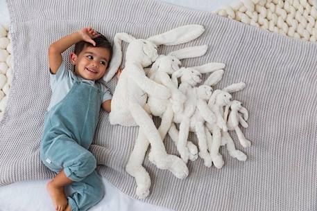 Peluche - Lapin Richie 20 cm : Ivoire BEIGE 3 - vertbaudet enfant 