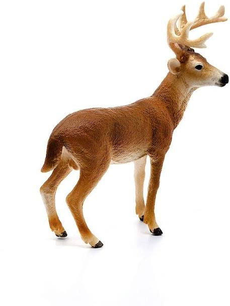 Figurine Cerf de Virginie - SCHLEICH Wild Life 14818 - Bois de 60mm - Pour Enfant Garçon et Fille BEIGE 3 - vertbaudet enfant 