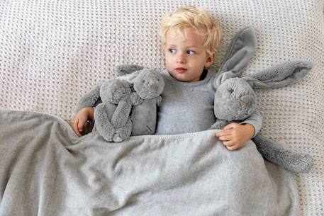 Happy Horse - Peluche Lapin Richie gris clair 38 cm GRIS 4 - vertbaudet enfant 