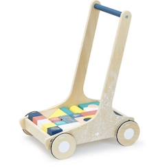 Jouet-Chariot de cubes en bois VILAC - Sous la canopée - Pour l'apprentissage de la marche - 24 cubes colorés