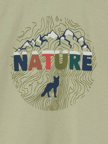 T-shirt motif nature détails flocage velours garçon anthracite+bleu ardoise+vert sauge 10 - vertbaudet enfant 