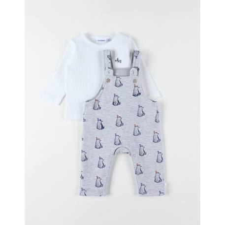 Set salopette + t-shirt GRIS 1 - vertbaudet enfant 