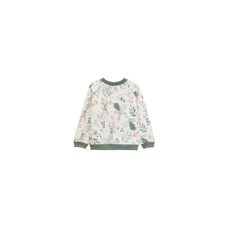 Ensemble bébé sweat-shirt et pantalon en molleton - PETIT BEGUIN - Merlin - Kaki - Vert - Molleton gratté VERT 4 - vertbaudet enfant 