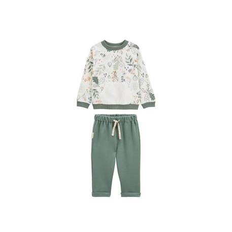 Ensemble bébé sweat-shirt et pantalon en molleton - PETIT BEGUIN - Merlin - Kaki - Vert - Molleton gratté VERT 1 - vertbaudet enfant 