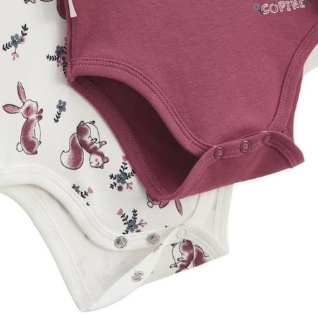 Lot de 2 bodies bébé manches longues PETIT BEGUIN - Meilleure Copine - Rose - Label OEKO-TEX ® ROSE 2 - vertbaudet enfant 