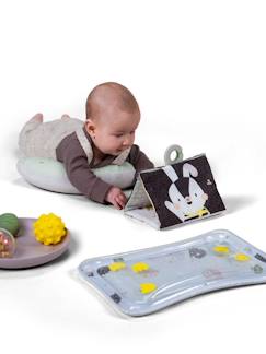 Jouet-Coffret bébé pour jouer sur le ventre - TAFT TOYS