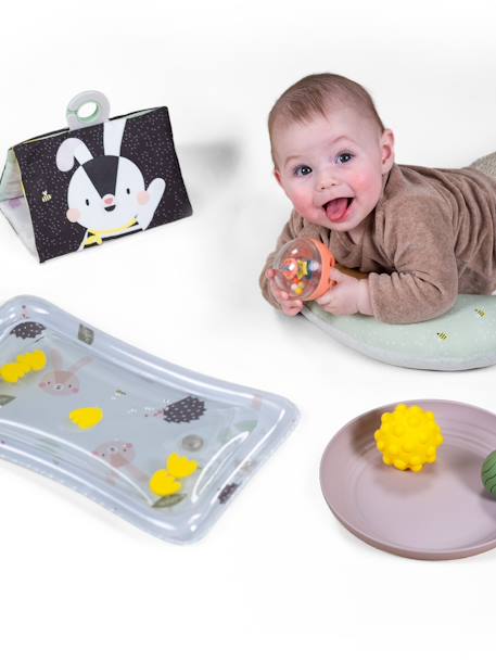 Coffret bébé pour jouer sur le ventre - TAFT TOYS multicolore 4 - vertbaudet enfant 