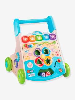 Jouet-Super trotteur nature interactif - VTECH