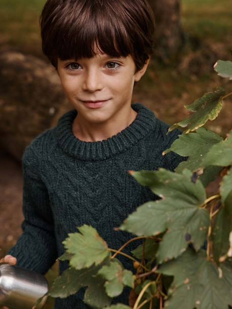 Pull à torsades garçon écru+vert sapin 4 - vertbaudet enfant 