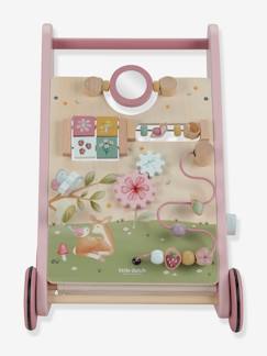 -Chariot de marche - Fairy Garden LITTLE DUTCH