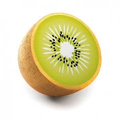 Jeu d'imitation - Erzi - Kiwi en bois - Pour enfant à partir de 3 ans - Vert/Marron  - vertbaudet enfant