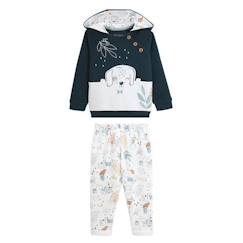 Ensemble en molleton sweat et pantalon bébé garçon Scotty  - vertbaudet enfant