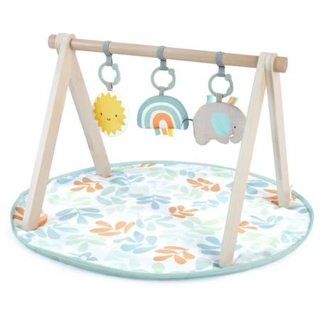 INGENUITY Tapis d'éveil Sun Valley, arche de jeu en bois - 3 jouets amovibles - pliable VERT 1 - vertbaudet enfant 