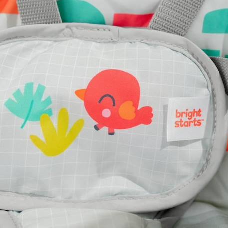 BRIGHT STARTS Balancelle bébé électrique compacte – Animaux, 6 vitesses balancement, 10 chansons, 2 position d'inclinaison GRIS 6 - vertbaudet enfant 