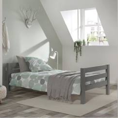 Chambre et rangement-Chambre-Lit bébé, lit enfant-Lit combiné, surélevé, superposé-Lit avec sommier en pin massif gris 90x200 Armance & Faustin