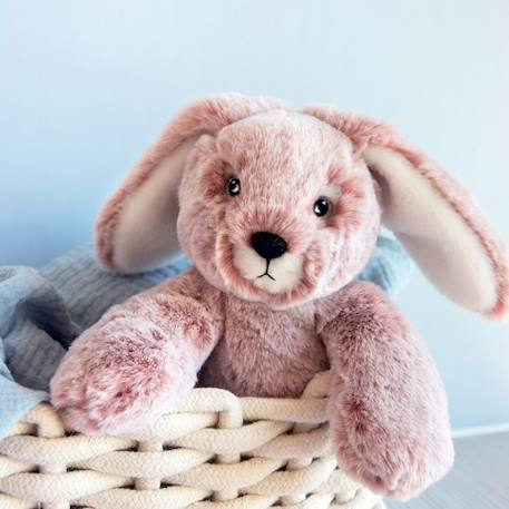 Histoire d'Ours - Peluche Lapin Rose Sweety Mousse 25 cm - DOUDOU ET COMPAGNIE BLANC 2 - vertbaudet enfant 