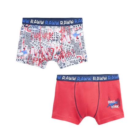 Garçon-Lot de 2 boxers garçon Terrian