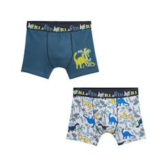 -Lot de 2 boxers garçon Brontonsaure